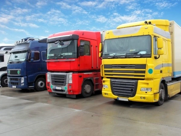 İzmir Kurbağalıdere Nakliye